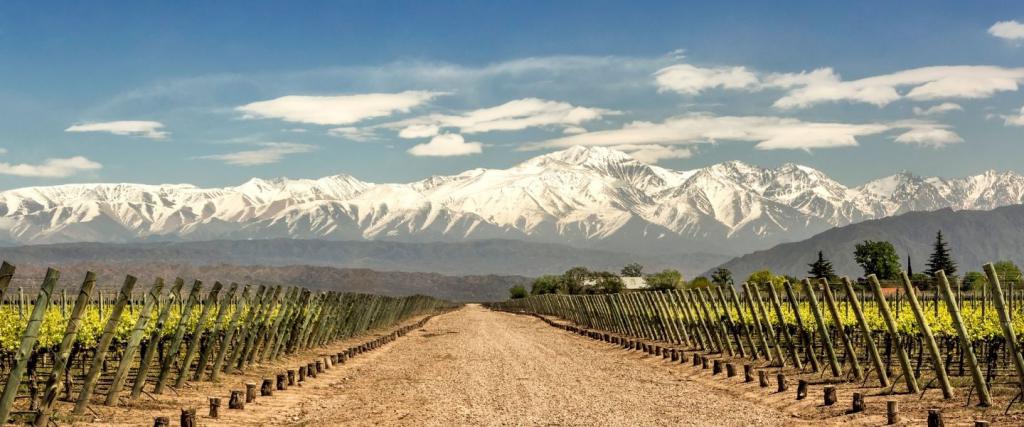 Best Argentinian Wines at World Wine Awards